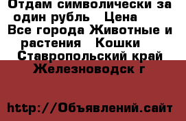 Отдам символически за один рубль › Цена ­ 1 - Все города Животные и растения » Кошки   . Ставропольский край,Железноводск г.